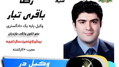 سید رضا باقری تبار