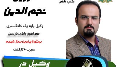 فرزین نجم الدین