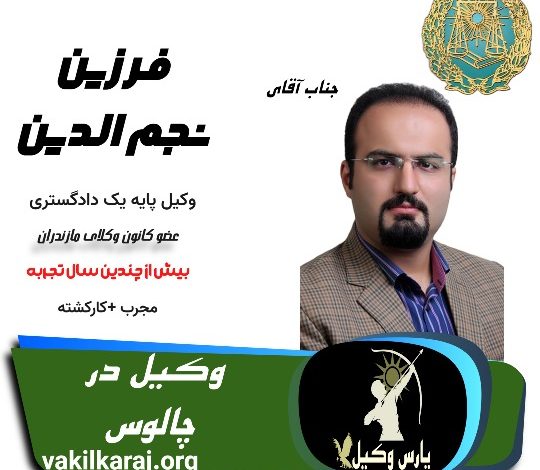 فرزین نجم الدین