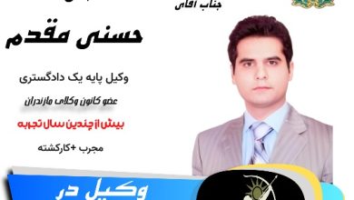 محمد حسنی مقدم