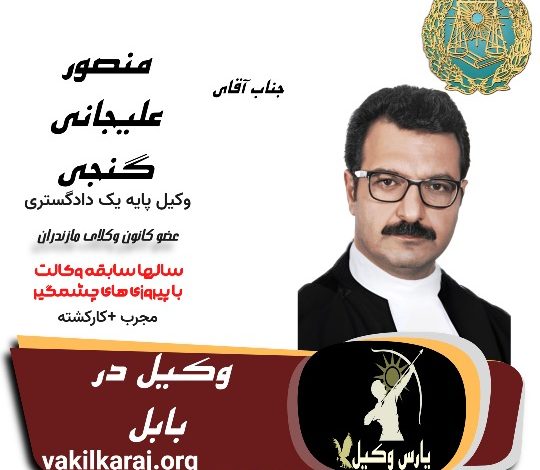 منصور علیجانی گنجی