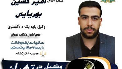 امیر حسین بوریایی