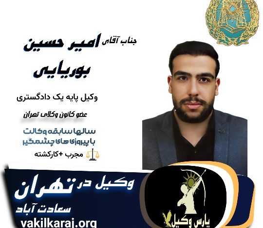 امیر حسین بوریایی