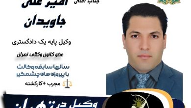 امیر علی جاویدان