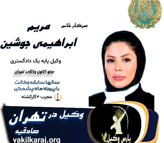 مریم ابراهیمی جوشین