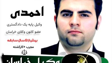 سید امیر هاشم احمدی
