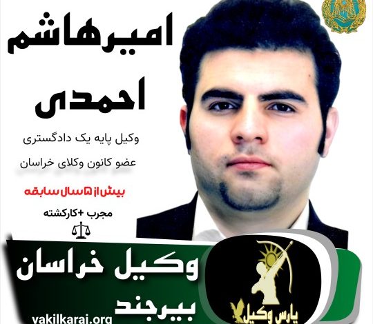 سید امیر هاشم احمدی