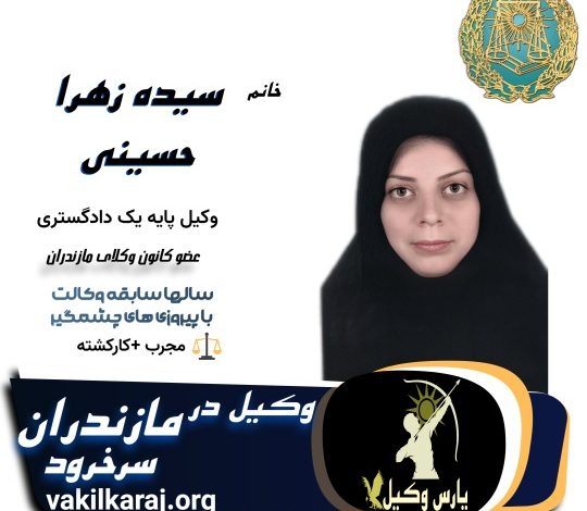 سیده زهرا حسینی