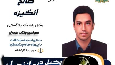 صالح انگیزه