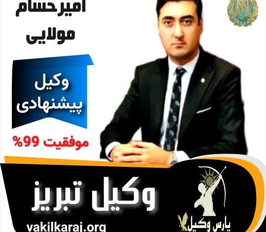امیرحسام مولایی