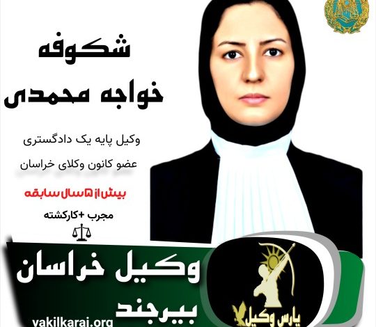 شکوفه خواجه محمدی