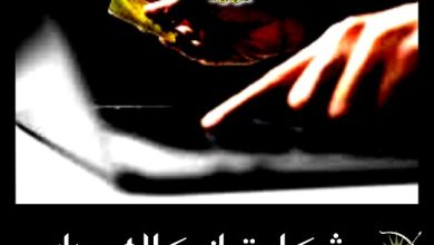 نحوه شکایت از کلاهبرداری اینترنتی