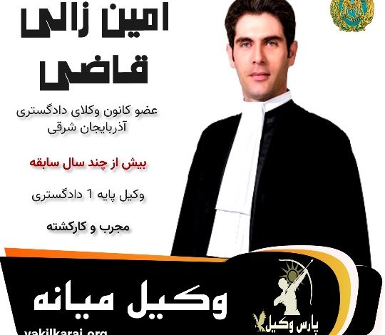 امین زالی قاضی