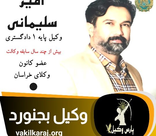 امیر سلیمانی