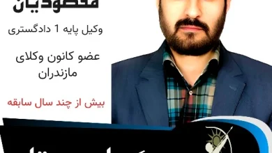 ایرج مقصودیان