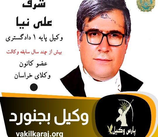 شرف علی نیا