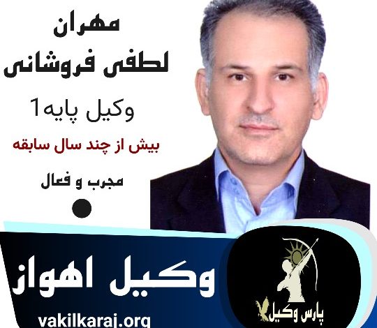 مهران لطفی فروشانی