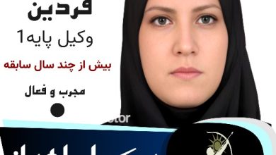 مینا فردین