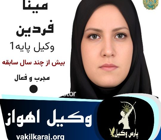 مینا فردین
