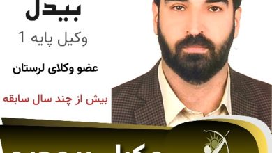 تورج بیدل