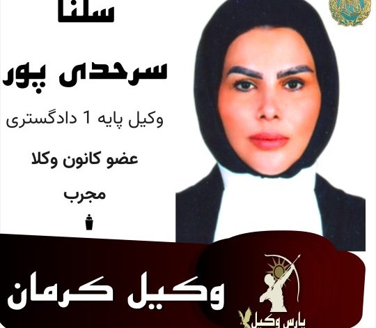 سلنا سرحدی پور