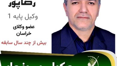 شاهرخ رضاپور