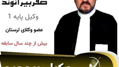 علی صفر بیرانوند