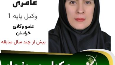 مریم عامری