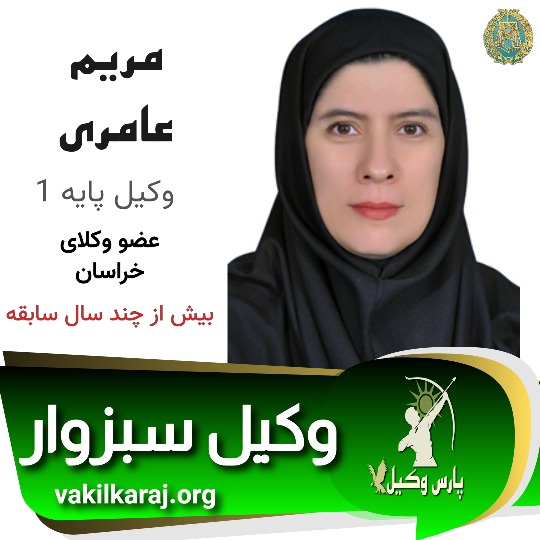 مریم عامری