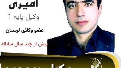 مصطفی امیری
