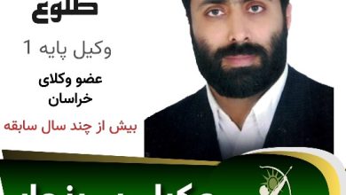 هادی طلوع