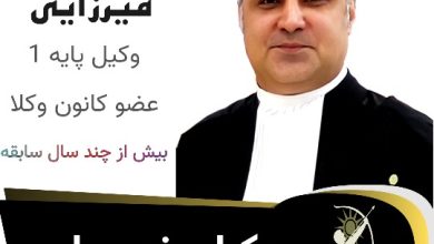هادی میرزایی