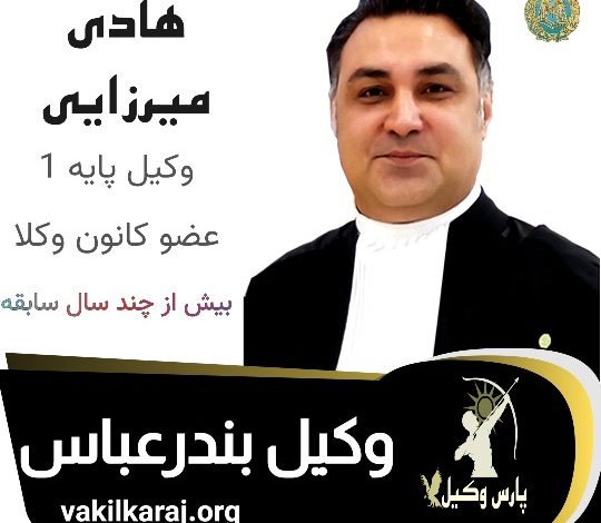 هادی میرزایی