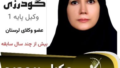 پرنیا گودرزی