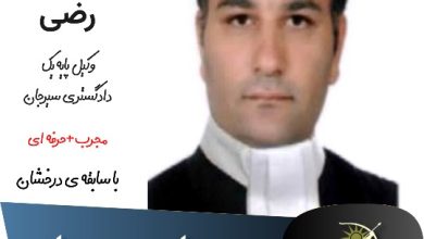 پوریا رضی
