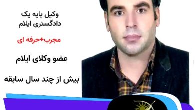 سعید احمدی