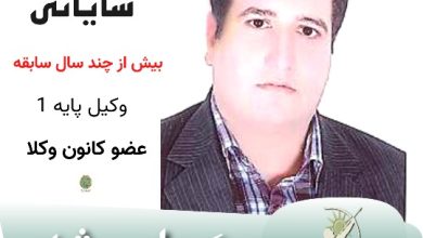 بابک شایانی وکیل بوشهر