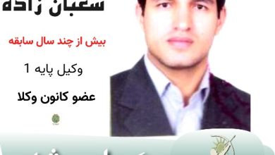 مهدی شعبان زاده وکیل بوشهر