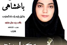 زهرا باغشاهی وکیل طلاق یزد