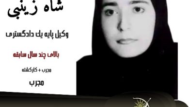 عارفه شاه زینبی وکیل کیفری یزد