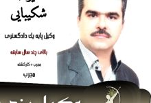 علیرضا شکیبایی وکیل کیفری یزد