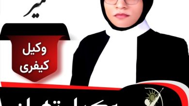 فاطمه میر وکیل کیفری تهران