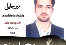 مالک میرجلیلی وکیل کیفری یزد