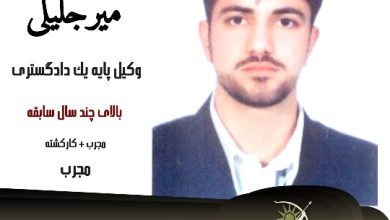 مالک میرجلیلی وکیل کیفری یزد