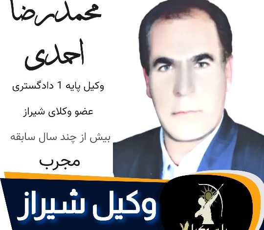 محمدرضا احمدی وکیل ملکی شیراز