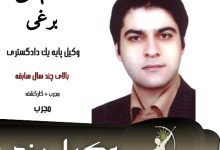 محمدمهدی برغی وکیل کیفری یزد