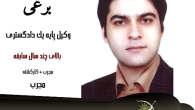 محمدمهدی برغی وکیل کیفری یزد