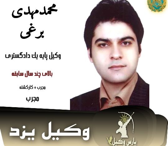 محمدمهدی برغی وکیل کیفری یزد