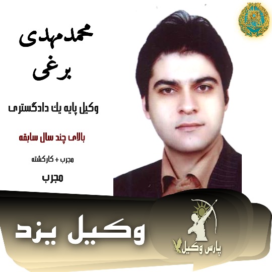محمدمهدی برغی وکیل کیفری یزد