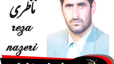 رضا ناظری وکیل زابل